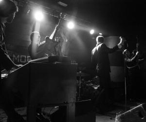 The Blackbirds