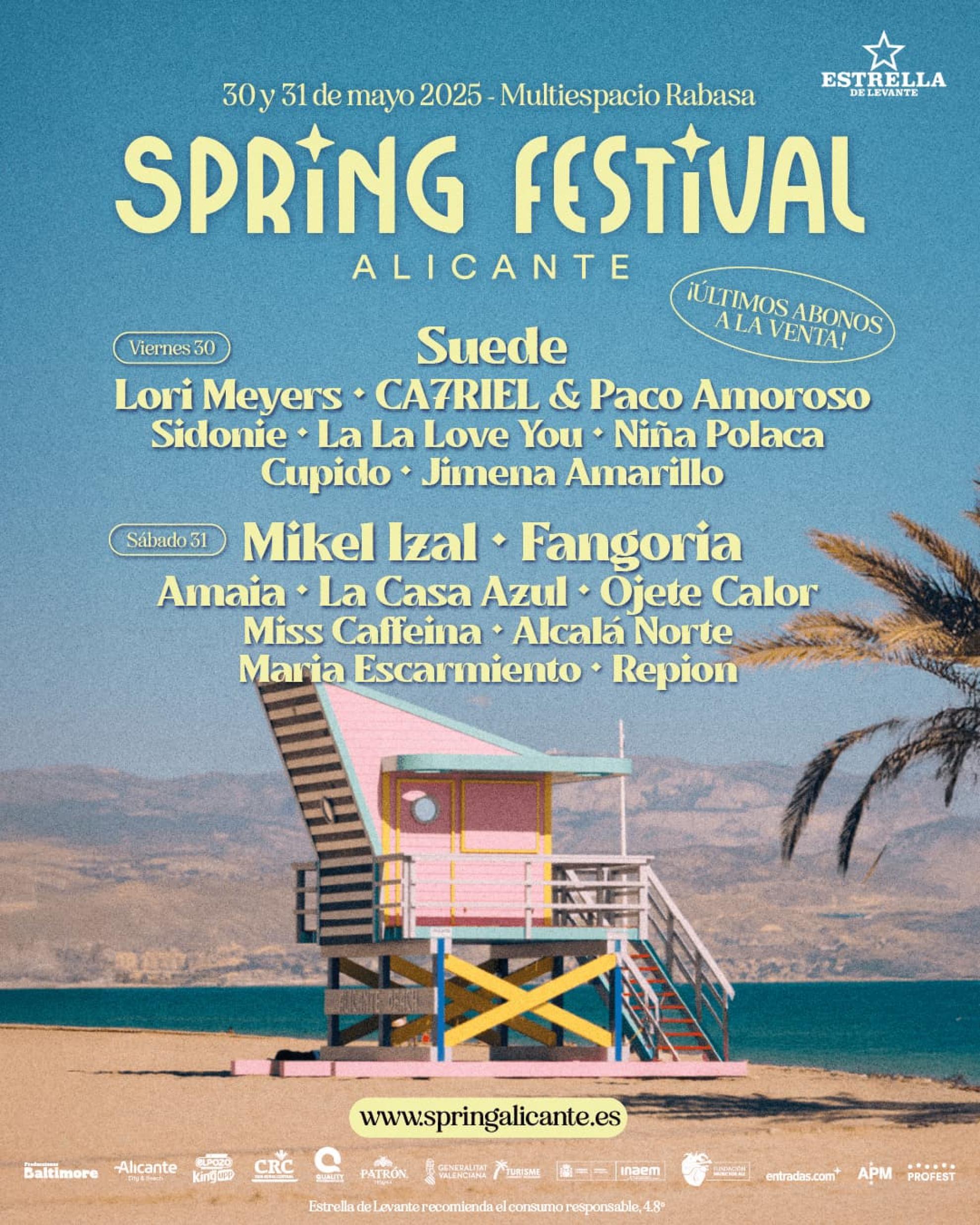 Spring Festival 2025