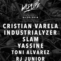 Cartel Wildlife 02 2018