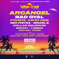 Cartel Salinas Sound Festival 2023