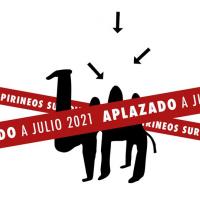 Cartel Pirineos Sur 2020