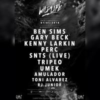 Cartel Wildlife NYE 2018