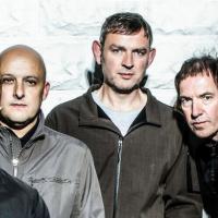 Inspiral Carpets