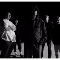 The Adolescents