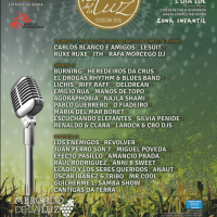 Cartel Festival de la Luz 2015