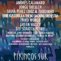 Cartel Pirineos Sur 2019