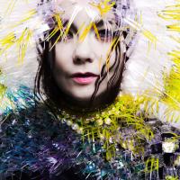 Björk pone la guinda al Sónar con un DJ set, una exposición y una charla