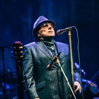 Van Morrison, nuevo cabeza de cartel del Azkena 2018