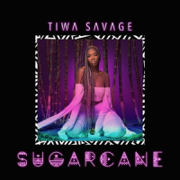 Sugarcane