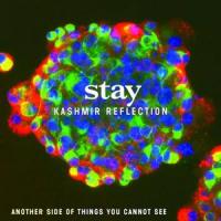 Kashmir Reflection