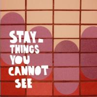 Things You Cannot See