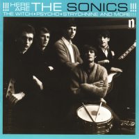 Here Are The Sonics