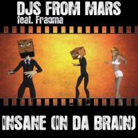 Insane (In Da Brain) (feat. Fragma)