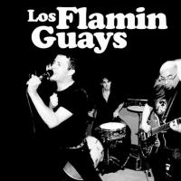 Los Flamin Guays