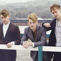 The Crookes