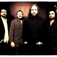 Rich Robinson