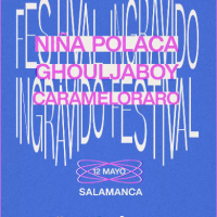 Cartel Festival Ingrávido 2023