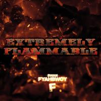 Extremely Flammable(2012)