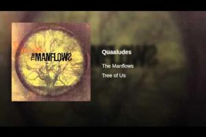 Quaaludes