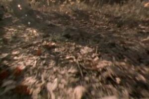 The Old Man Down The Road