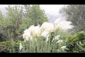 Diario de grabación en la Alpujarra