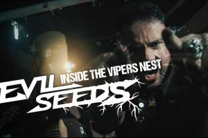 Inside the Vipers´ Nest