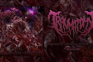 Trascendental Evisceration Of Necrogenetic Beast