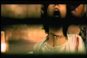 Torn Herbody Apart