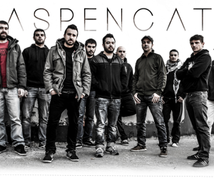 Aspencat