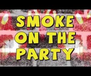 Sex Museum ft Def Con Dos - Smoke on the Party ( Fight for your Right)