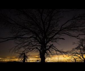 Moby & Mark Lanegan - The Lonely Night