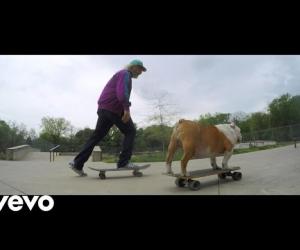 Dinosaur Jr. - Tiny