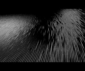 James Blake - Voyeur