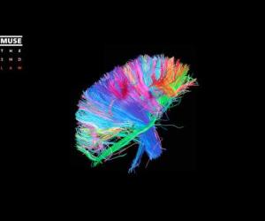 Muse - The 2nd Law (Full Album)