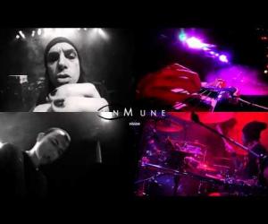 InMune - Caes, caes, caes