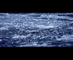 Foals - Spanish Sahara
