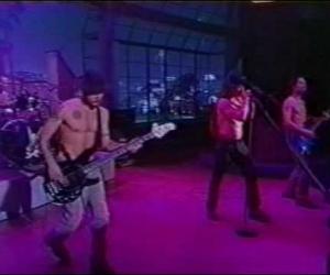 Red Hot Chili Peppers - My Friends