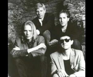 The Dream Syndicate Forest for the Trees
