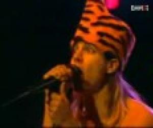 Red Hot Chili Peppers - Jungle Man