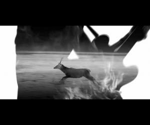 Grises - Lopan