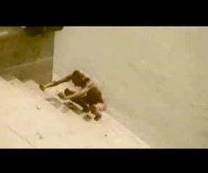 Sidonie - Badulake