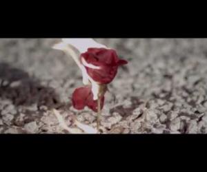 Fuel Fandango - New Life