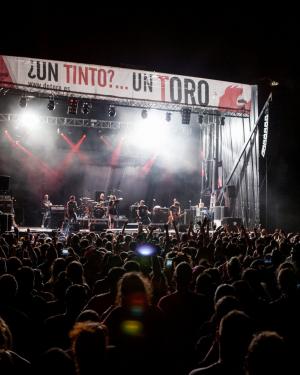 Festival Vintoro 2020