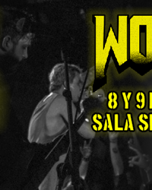 Wolfest 2019 (febrero)