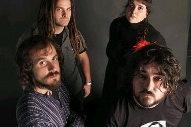 Zea Mays