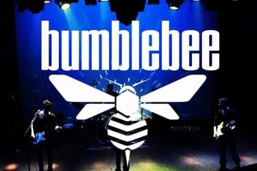 Bumblebee