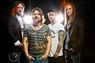 The New Roses