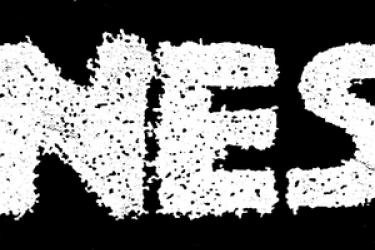NES