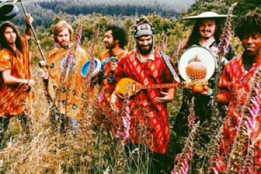 Flamingods