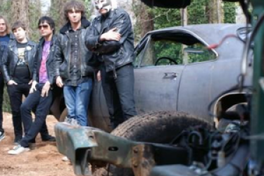 The Barreracudas